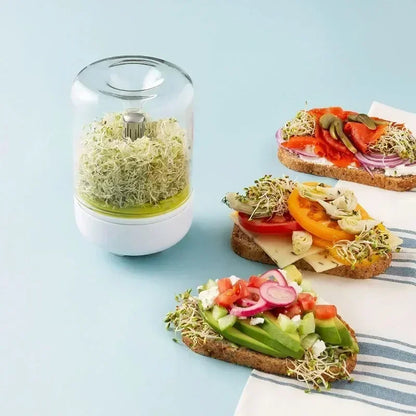 Countertop Sprouter Sprouts Growing Kit Reusable Household Kitchen Bean Plants Sprouting System Seeds Crop Container Supplies